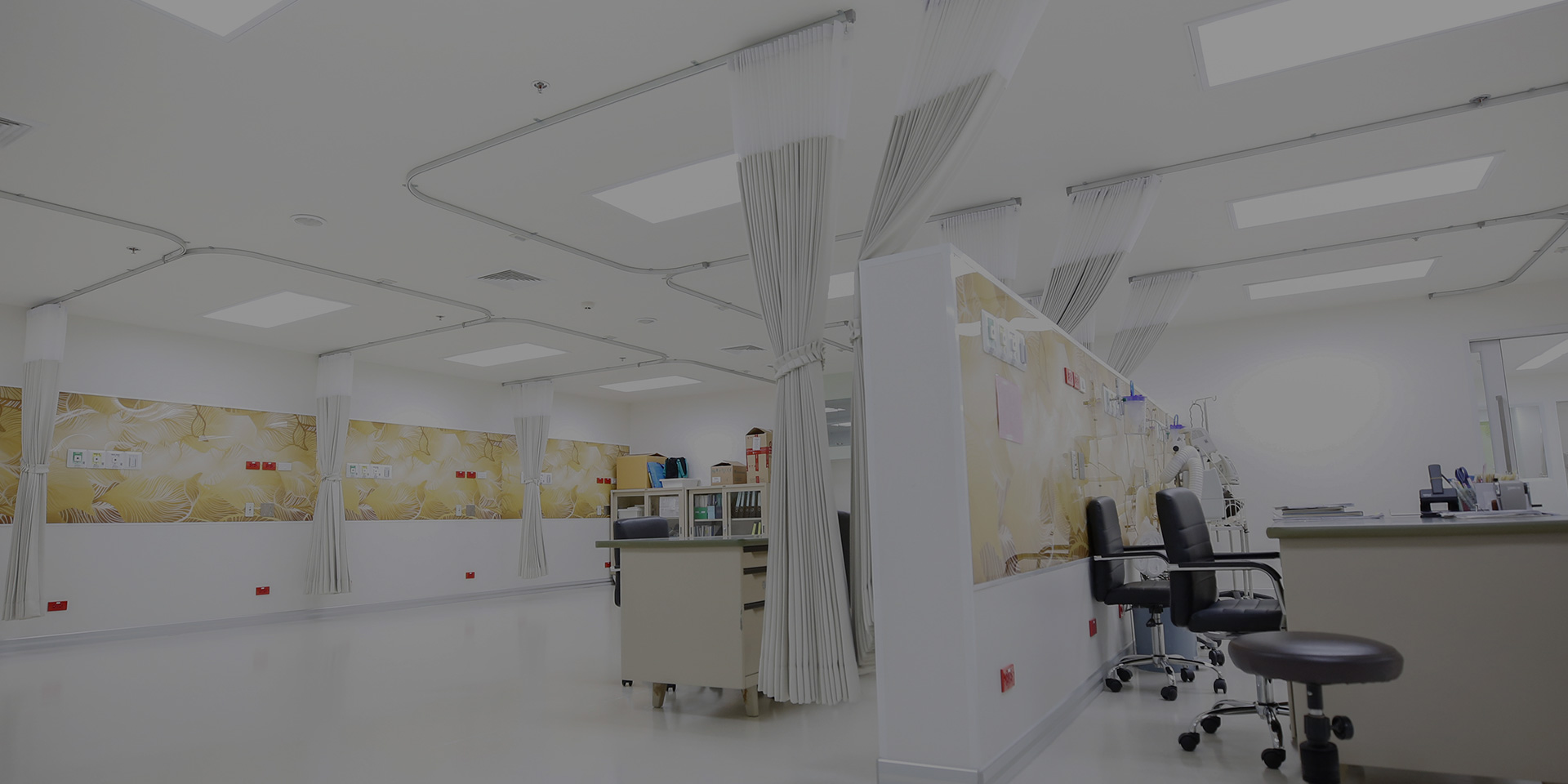 新宝GG—创立事业平台